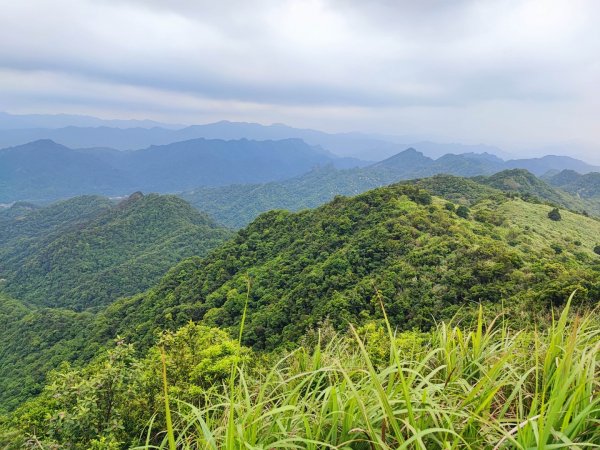 姜子寮山-小百岳#11-基隆市七堵區2248519