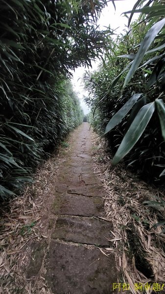 大屯山1827895