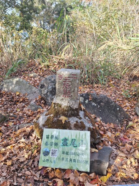 盡尾山202512252972000