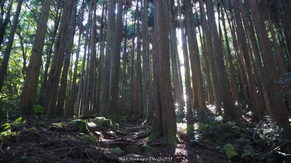 《苗栗》遺世鐵道｜悠遊加里山大坪支線至避難山屋202508222867482