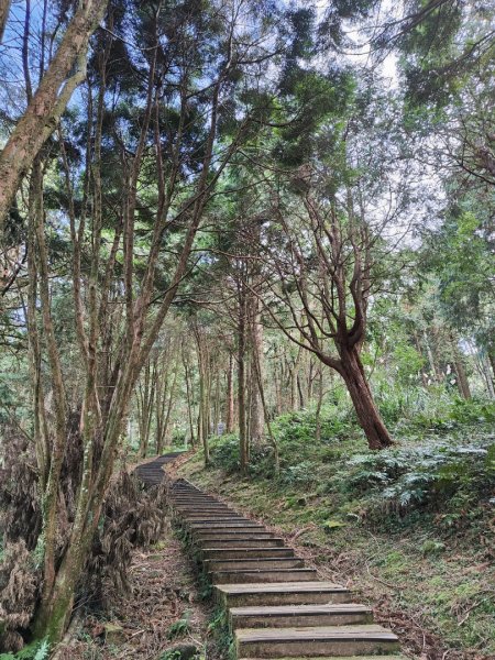 2023.12.27 東眼山2838845