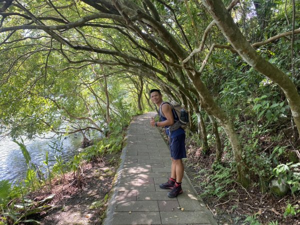 九寮溪自然步道.梅花湖環湖步道2599723