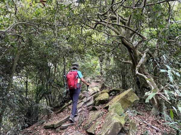 烏山縱走半程 (雲山寺~刣牛湖山) 來回 202504272773736