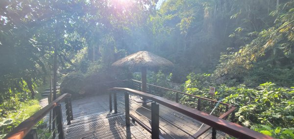 2025-01-30迷糊步道2704456