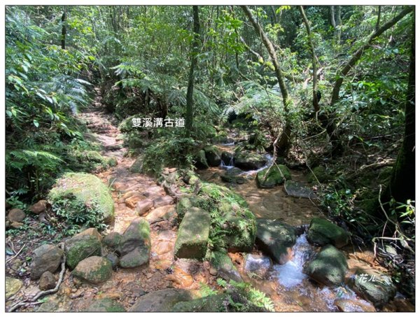 臺北大縱走第四段 風櫃嘴至捷運大湖公園站3079939