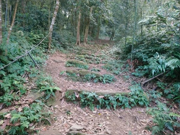 馬那邦山(小百岳編號037)720098