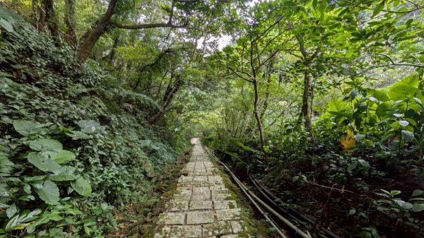 114.10.11石荀尖之旅2912050