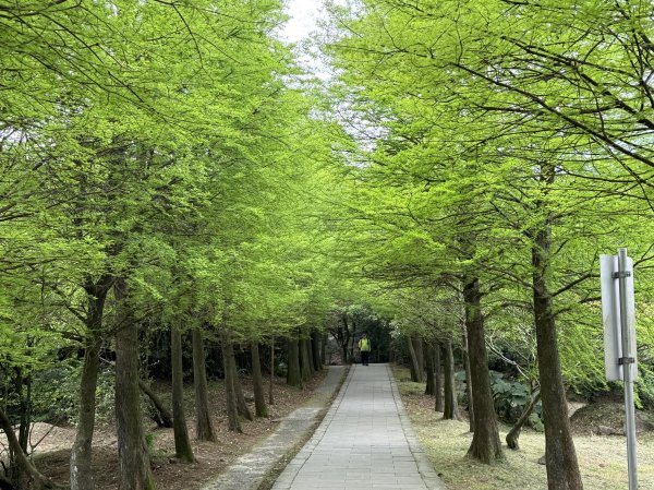 人類心中都有一座山【陽明山】3079235