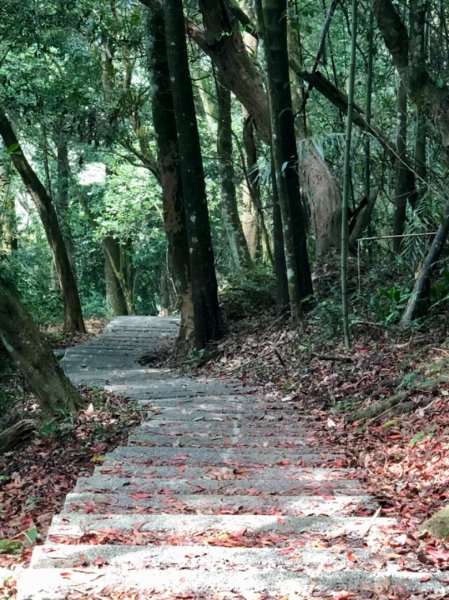 關刀山步道 之 宮崎駿式的浪漫🌹1489197