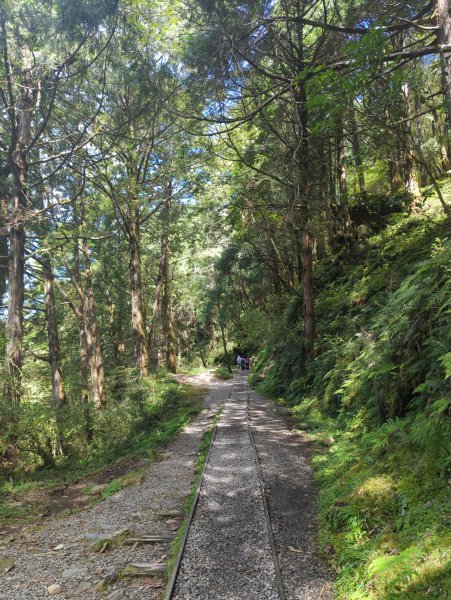 2025.09.28－見晴懷古步道2898754