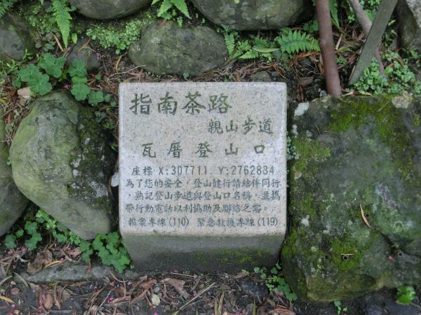 飛龍步道．樟湖步道．樟樹步道275831