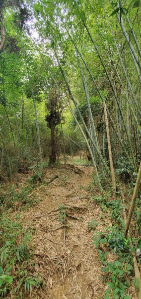 2022-09-23孝子路步道、大巃頂步道、獨立山步道1856248