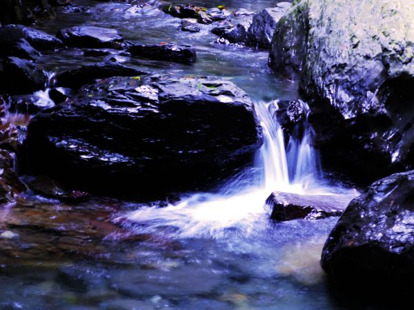 【宜蘭礁溪】清涼一夏：林美石磐步道389875