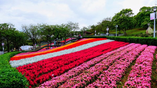 北投社三層崎3010977