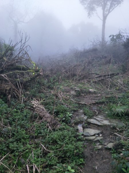 小百岳:初音山1609923