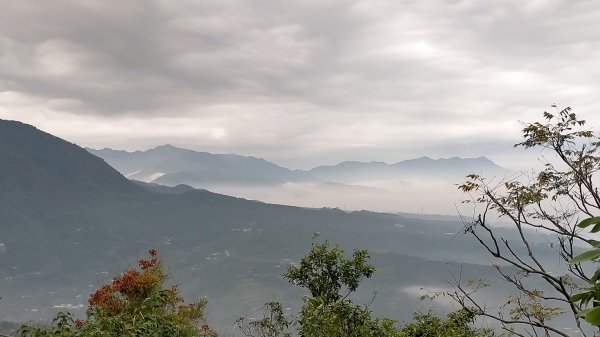 阿拔泉山稜線步道雲海1561743