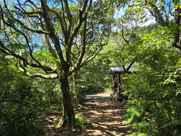 大屯主峰-連峰步道環形（小百岳）2904376