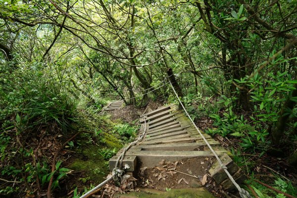 新北 新店 獅仔頭山、粽串尖、大丘田山2804291