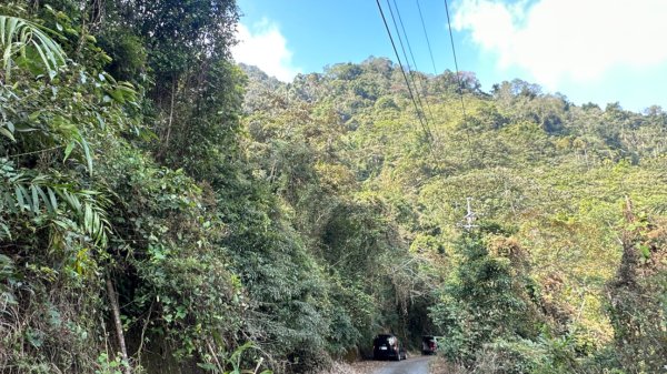 九份二山 集集大山 九尖賞梅2695249
