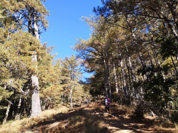 牽著她的手，再上桃山～360度盡入眼簾763106