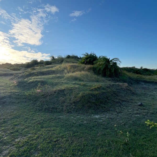 20251210_大山母山（屏東小百岳）2968654