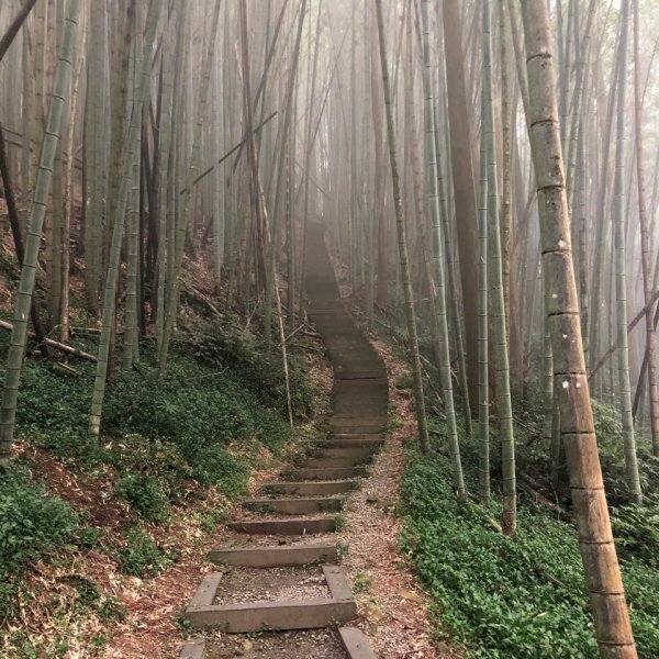 1090216奮起湖木馬古道、衫林步道840150