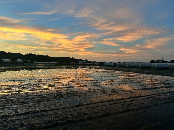 霄裡半日遊賞2895273