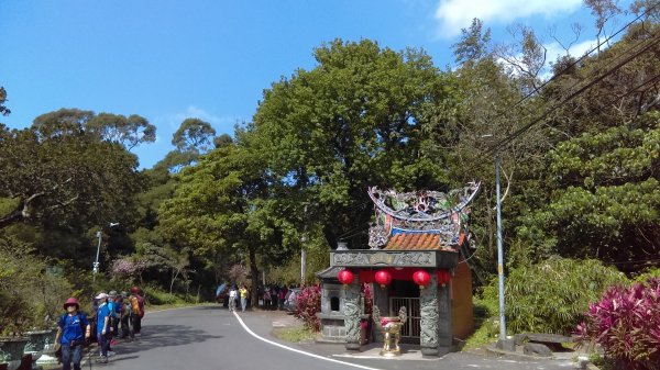 絢麗燦爛的滬尾櫻花大道、景致優美的天元宮874764