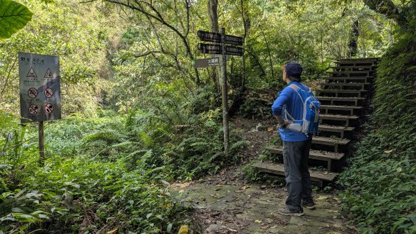 115.04.12金平山西峰-蝙蝠洞之旅3034707