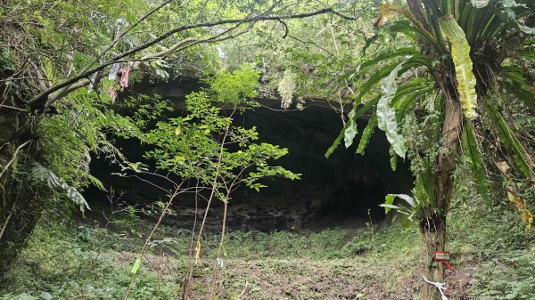 20250714灰窯山-司公碗帽山-南山坪山-平湖山-蝙蝠洞(乾溼洞)2836133