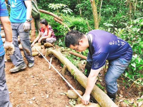 童軍團手作步道體驗in大坑5-1步道580914