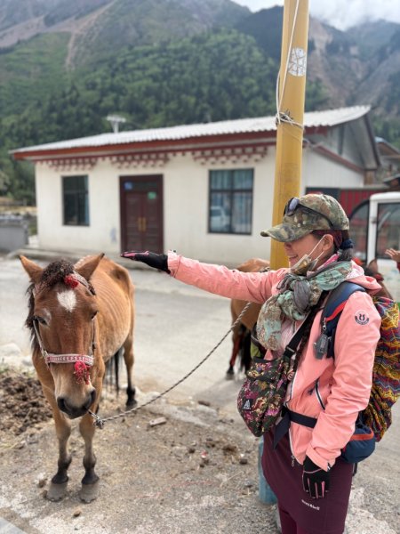 西藏♥️可愛動物🐎人物寫真/拉薩旅拍/美食2902901