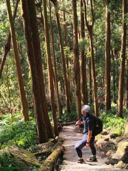 20251218溪頭鳳凰山台寅山上天文台至妖怪村買菜O繞2965587