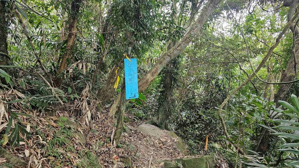 暗影山三進三出2366578