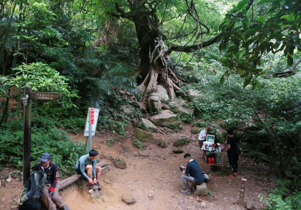 五寮尖登山步道1383238