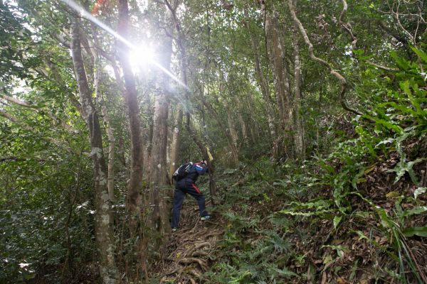 關西赤科山 東獅頭山連走218816