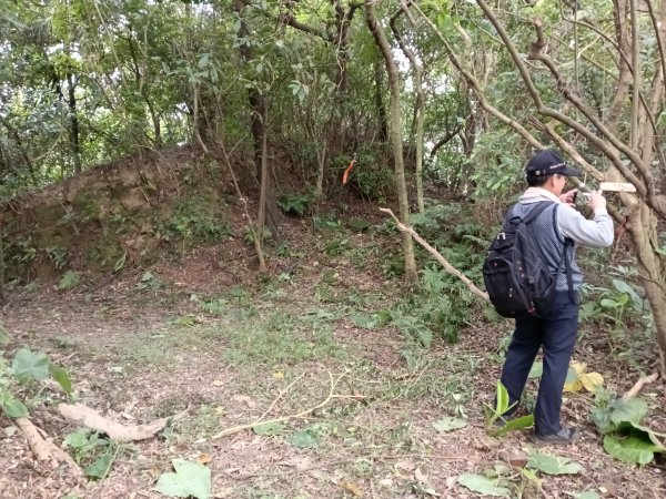 基隆市三層山+湳子大崙+淡基橫斷古道+面桶寮土地公2982242