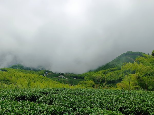 雲嘉大尖山、二尖山步道2983744