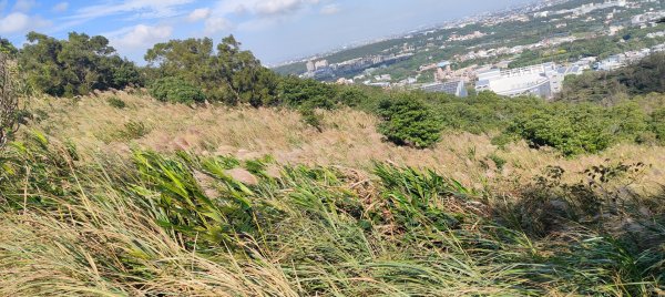 秀才登山步道2936930