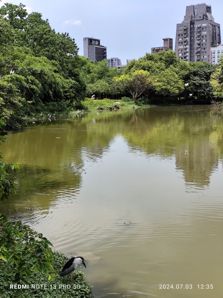 大安森林公園【走路趣尋寶】【臺北健走趣】2541525