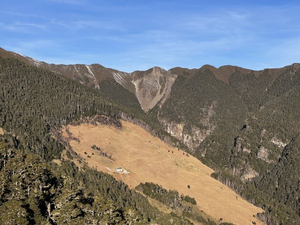 雪山東峰下山賞櫻 2024/2/17-182432695