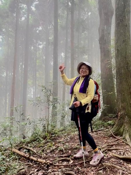 光天高山 - 向天湖山(小百岳32) 小O一圈2876736