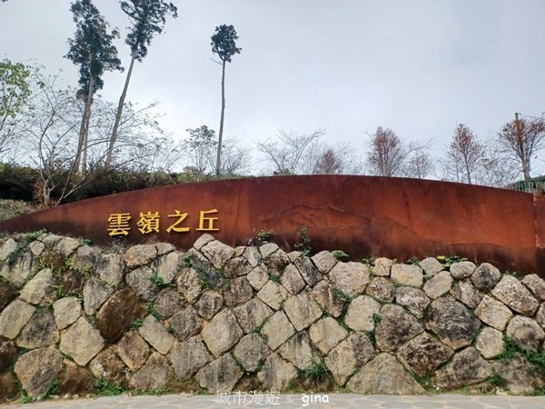 【雲林古坑】療育綠廊。 雲嶺之丘 x杉林步道x五元二角2760568