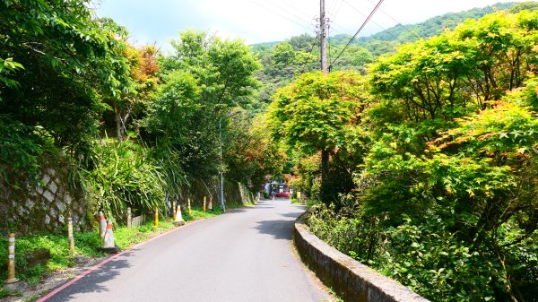 菁礐古圳步道,第51及64番石佛3040720