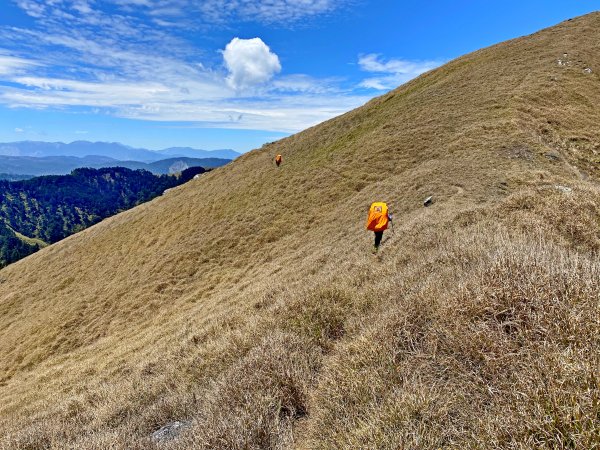 能安縱走--與高山湖泊、水鹿大軍相遇-2955594