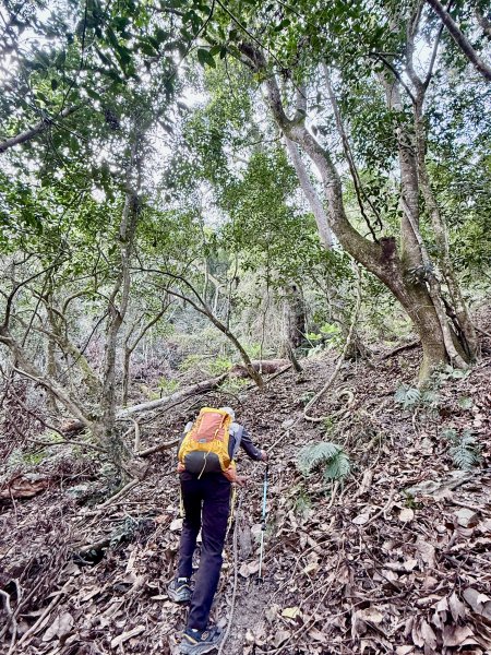 完登新南橫三星-馬馬宇頓山   2026.3.273027525