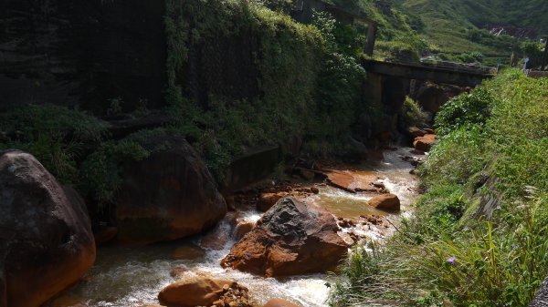 金瓜石黃金洞登山健行趣(郊山)1518841