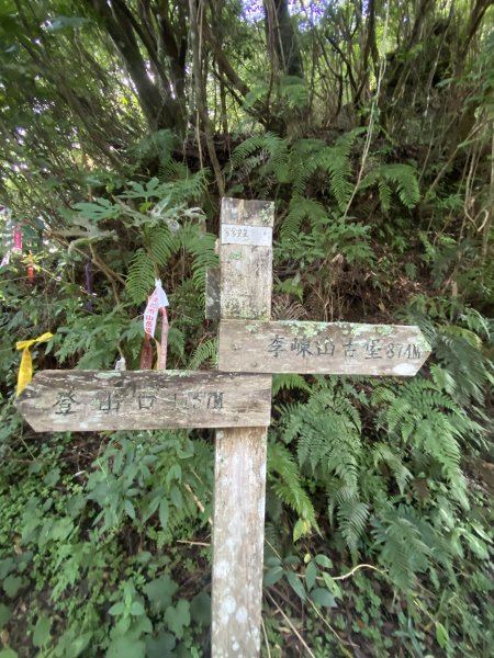 20250713-Ep.10李崠山步道-2025森遊竹縣皮皮獅探險隊2851945