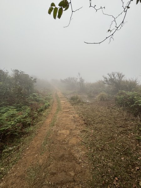 陽明山東西大縱走-東段2984534