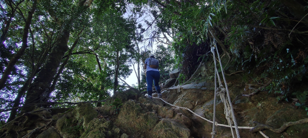 仙山群峰-2025/09/29